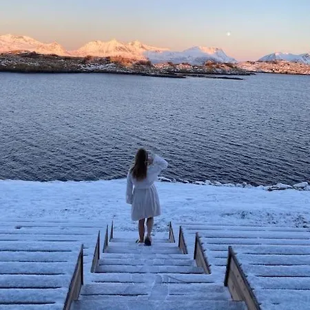 Bluebird Henningsvaer